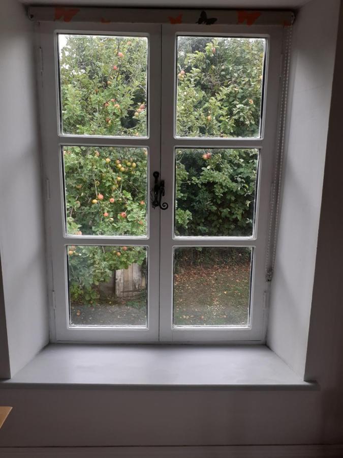 Characterful Cottage Adjacent To An Orchard Brockley المظهر الخارجي الصورة